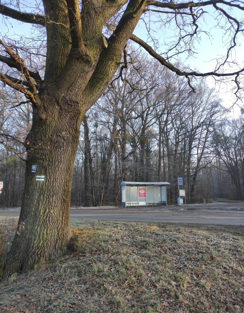 Zaciszne okolice Lasu Mokrzańskiego - Wrocław