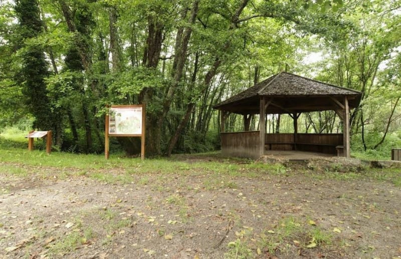 Sentier de Graviange et ses pins - Lapouyade