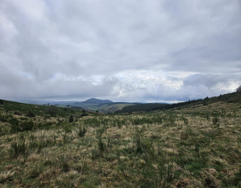 De Pessade jusqu'au puy de Paladou - Saulzet-le-Froid