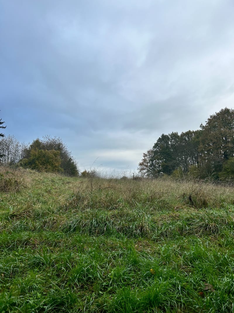 Randonnée tour de Cinqueux - Cinqueux