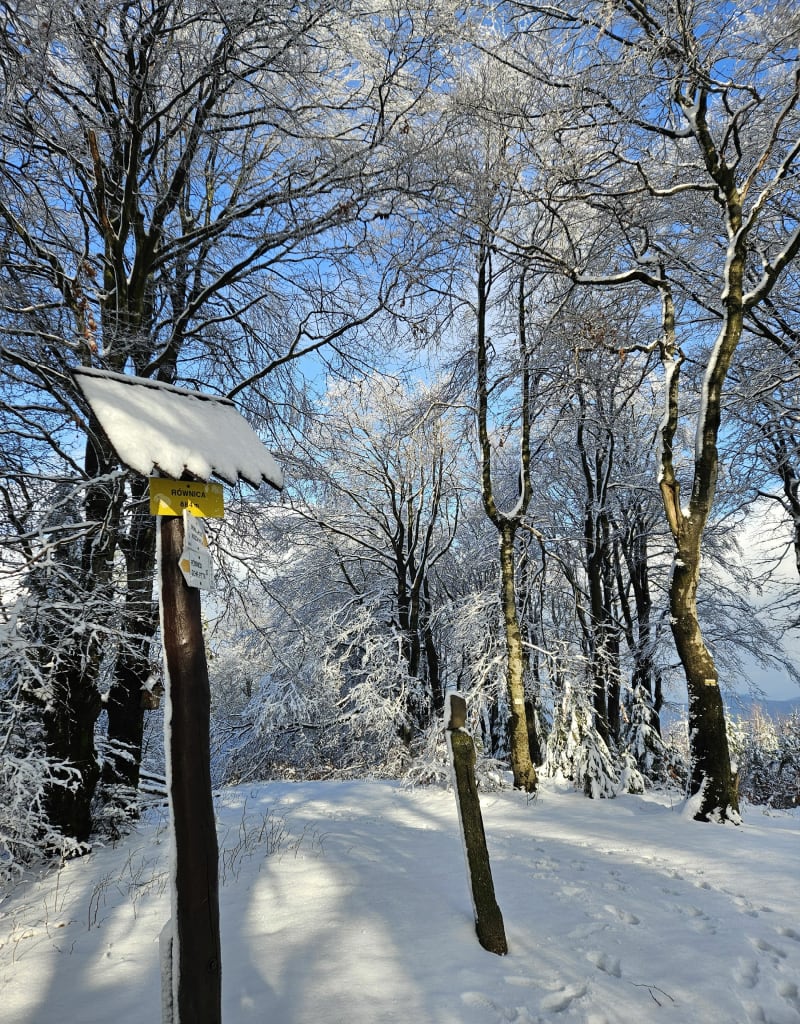 Średnio wymagająca trasa na Równicę od strony Brennej - Brenna