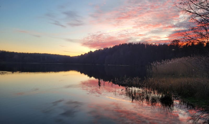 Jezioro Wyspowo krótka pętla - Gniewowo