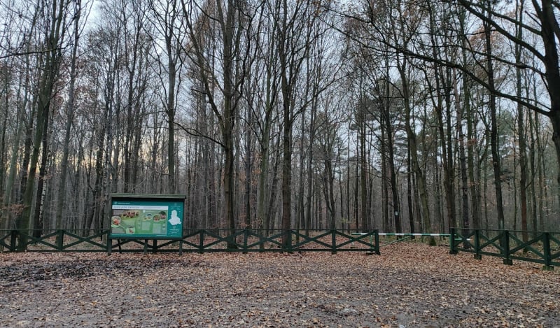Bytom Górniki - las - Wieszowa