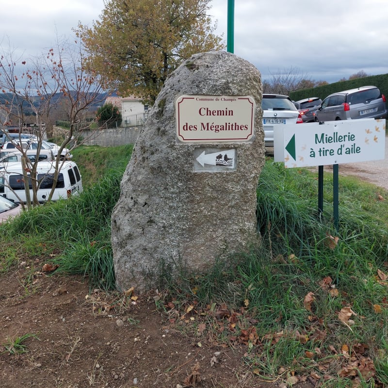 Sur le chemin des Mégalithes - Champis