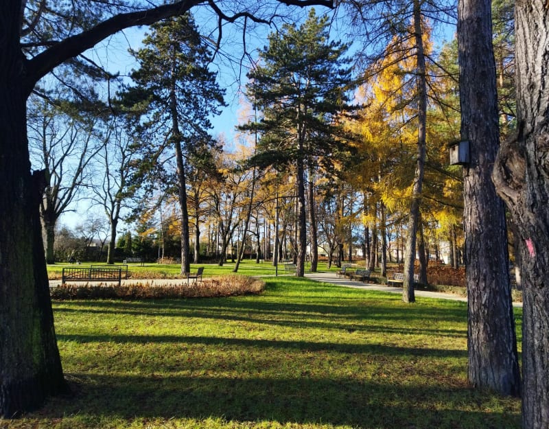 Park Sybiraków w Wałbrzychu - Wałbrzych