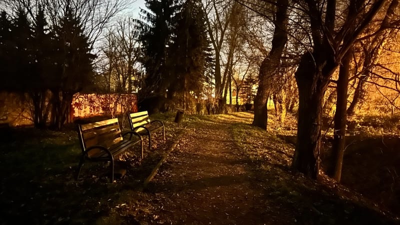 Spacer wzdłuż Młynówki Królewskiej - Kraków