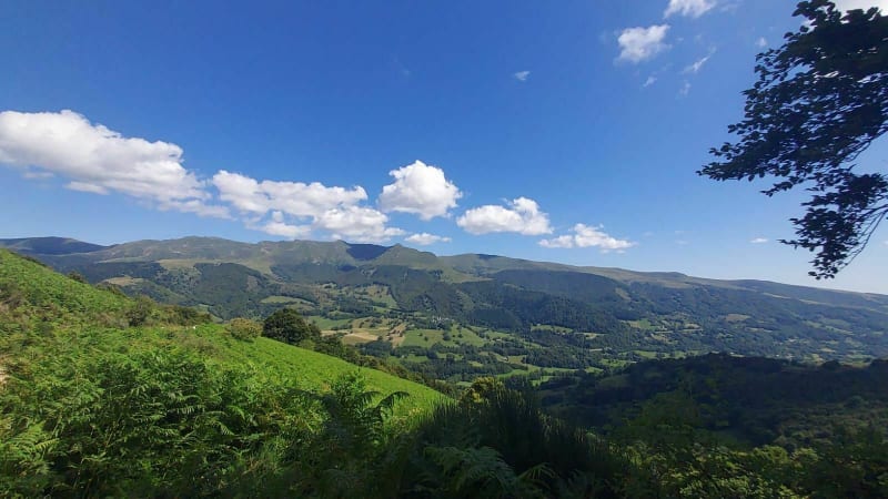 Plomb du Cantal - Albepierre-Bredons