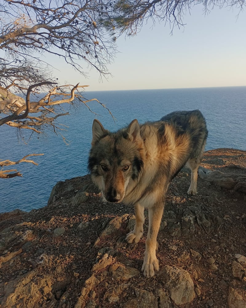 Marche loisir La Seyne sur Mer - La Seyne-sur-Mer