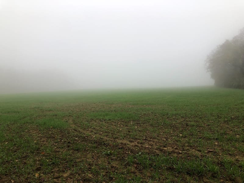 Eulmont et la Rang, en novembre - Eulmont
