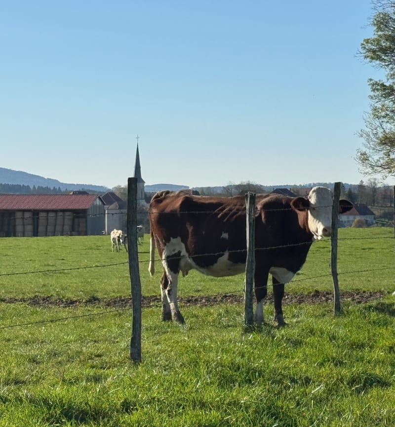 Orchamps-Vennes et une petite balade - Orchamps-Vennes