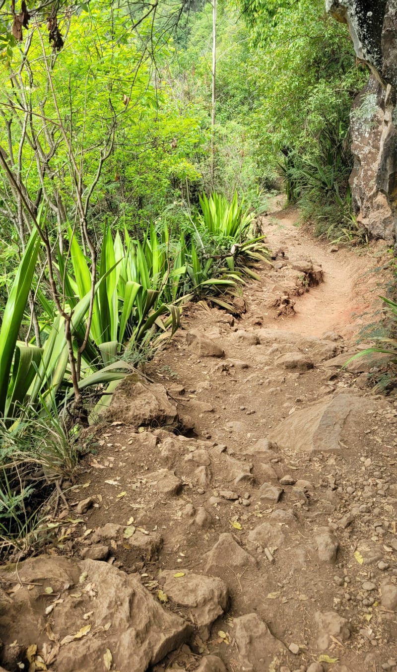 Sentier Dassy ou de l'Entre-Deux - Le Tampon