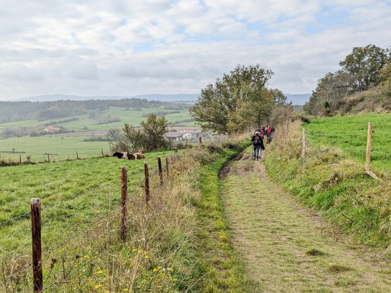 Rando autour de Saint Romain le Puy - Saint-Romain-le-Puy