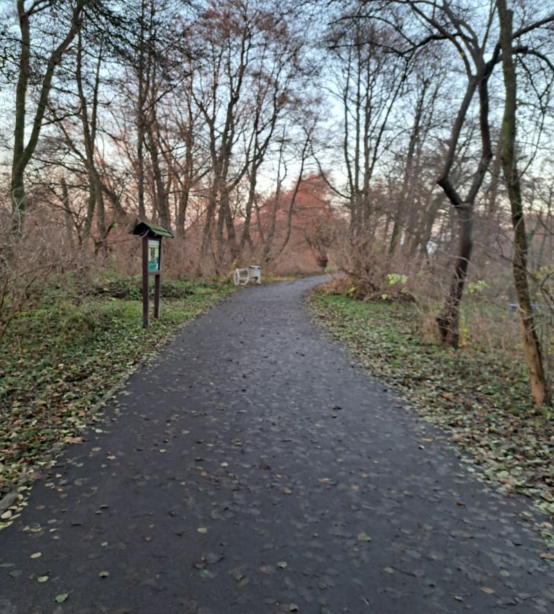 Szachty i wieza widokowa - Poznań