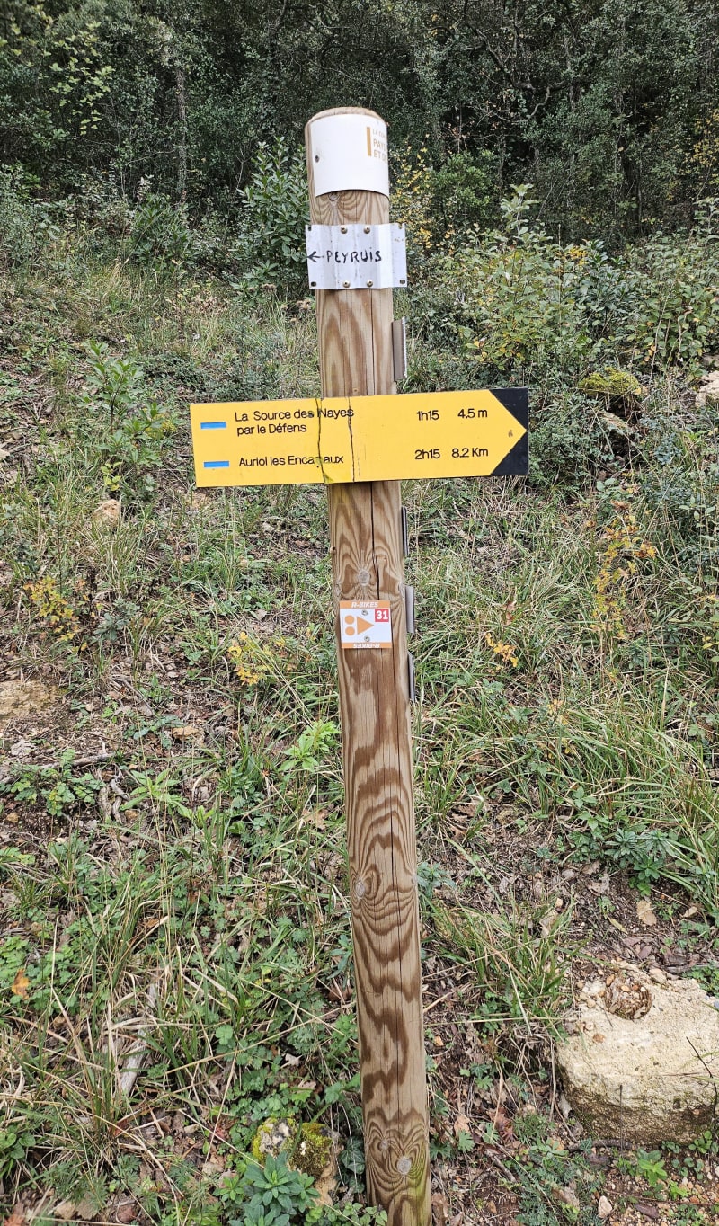 La source des nayes - Saint-Zacharie