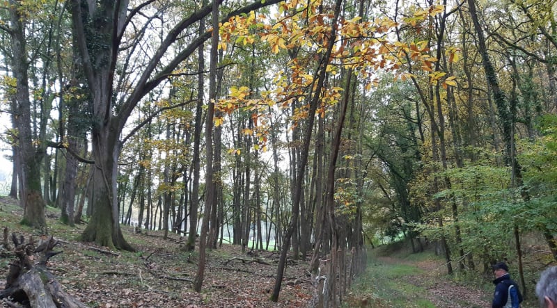 Balade autour de Sainte Maure de Touraine - Sainte-Maure-de-Touraine
