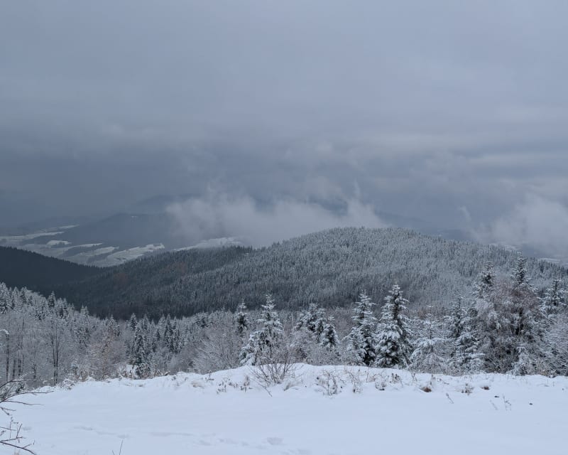 Kiczora - Jasień - Kutrzyca - Krzysztonów - Lubomierz