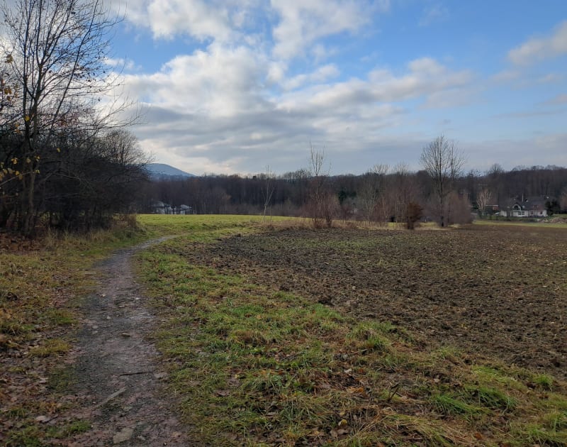 Spacer po rzece Wapieniczance - Bielsko-Biała