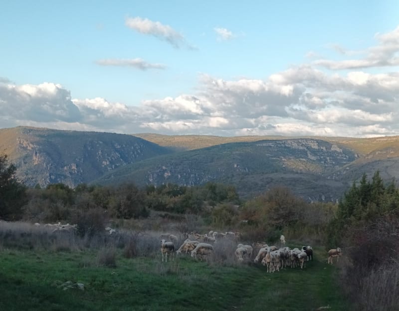 De Montredon à St-Sauveur - La Roque-Sainte-Marguerite