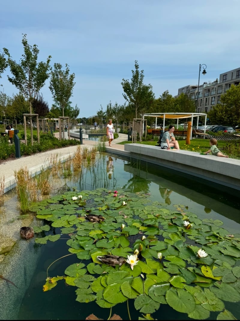 Wilanowski trójkąt spacerowy - Warszawa