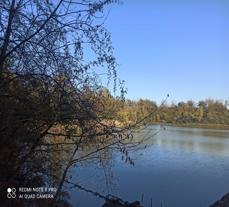 Balade forêt de Bonnevaux - Villeneuve-de-Marc
