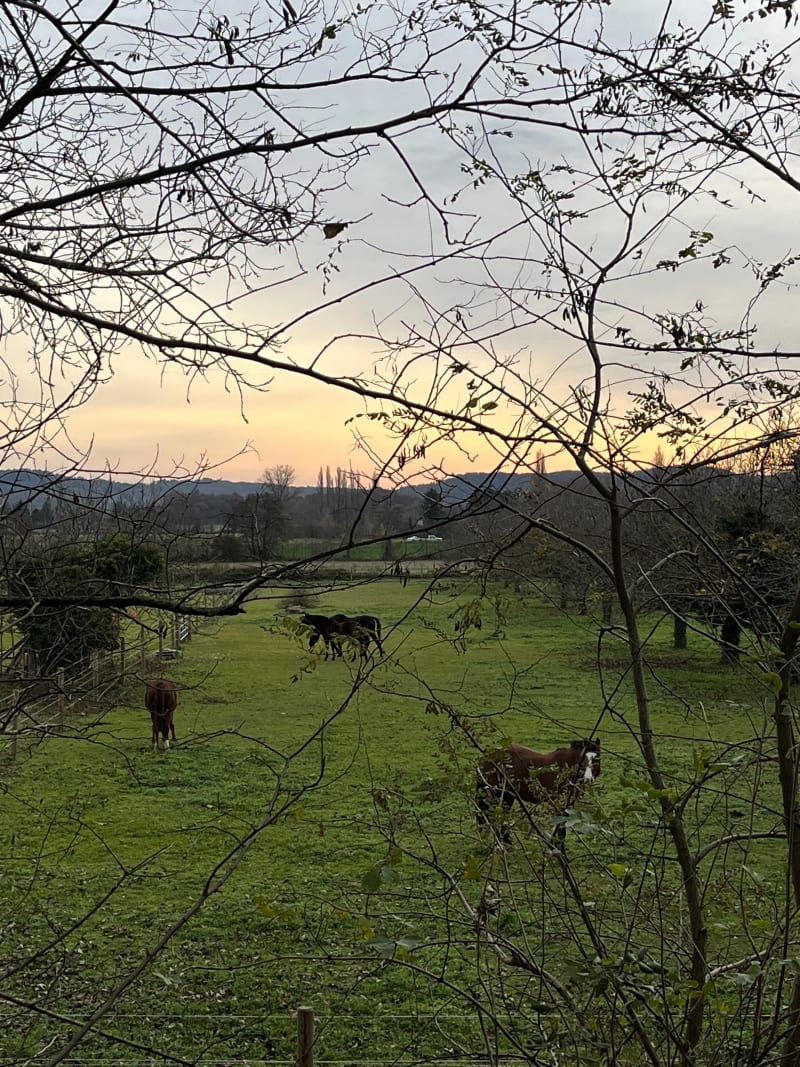 Le long de la Bourne - Beaumont-lès-Valence