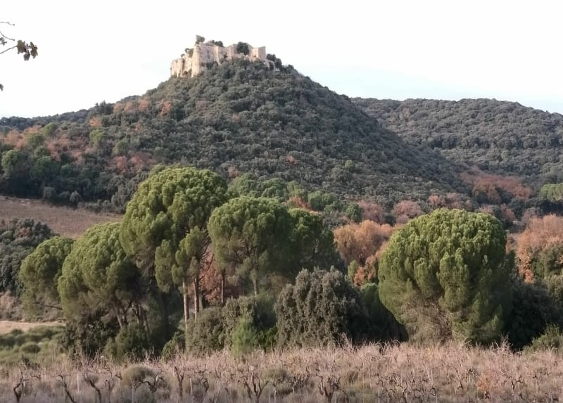 Autour du Jonquier de Chusclan - Chusclan