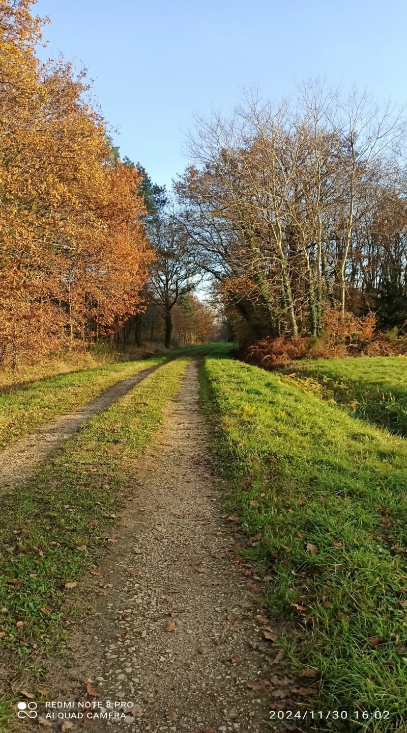Promenade dans Véron - Avoine
