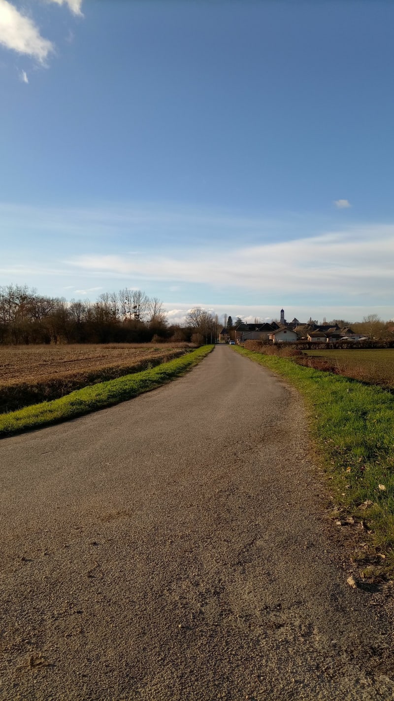 Randonnée le long du Rhône - Brangues