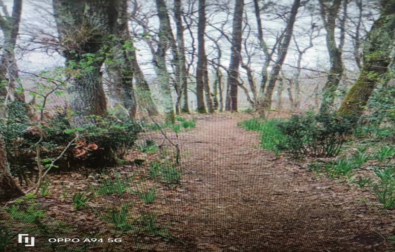 Balade en VTT autour de Caupian - Saint-Médard-en-Jalles