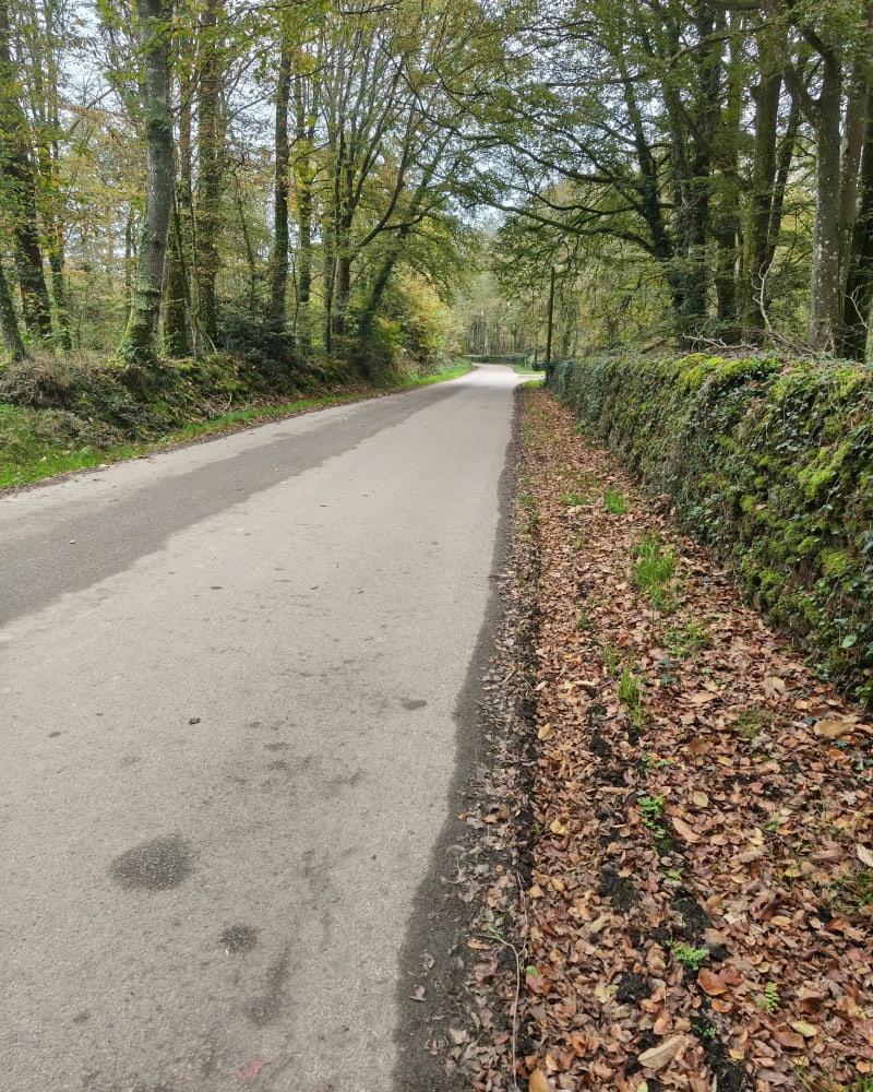 Boucle au départ de Plouézoc'h en passant par Guimaec - Plouezoc'h