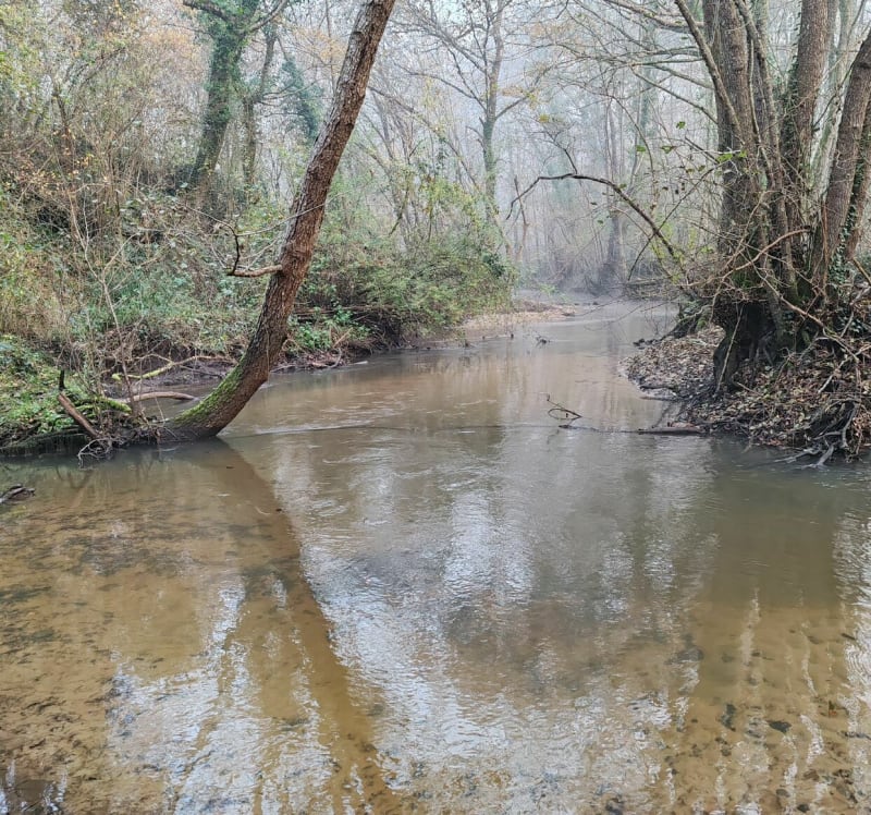 Marche Nordique, Martignas secteur Moulin Bidon - Martignas-sur-Jalle