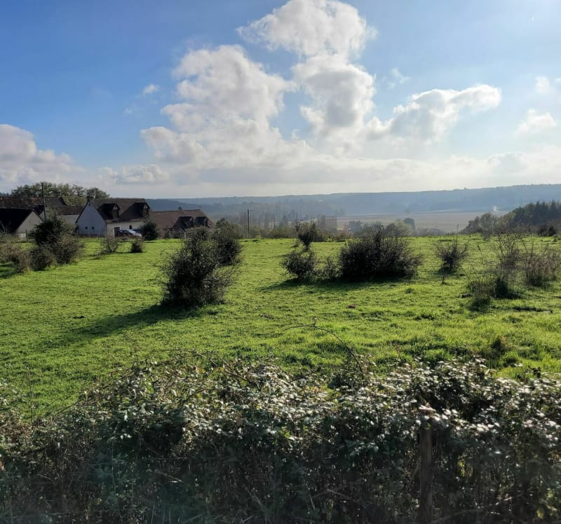 Saint-Sulpice / Fossé /St-Bohaire / Molineuf / Blois - Saint-Sulpice-de-Pommeray