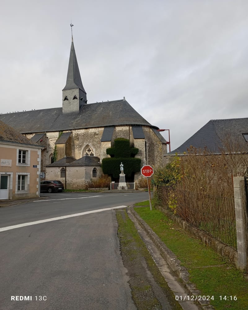 Bocage autour de Chigné - Noyant-Villages