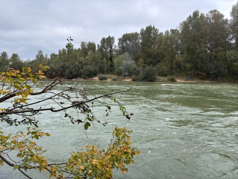 Balade le long de la rivière d’Ain - Saint-Jean-de-Niost