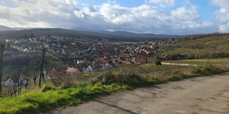 Balade entre Rosheim et Rosenwiller - Rosheim