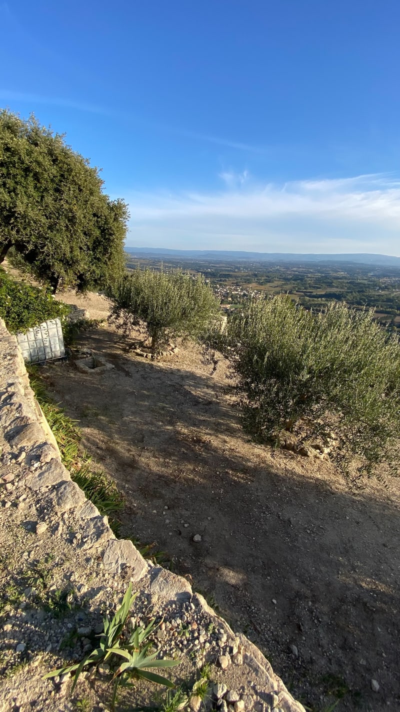 Sur les hauteurs de Beaume de Venise - Beaumes-de-Venise