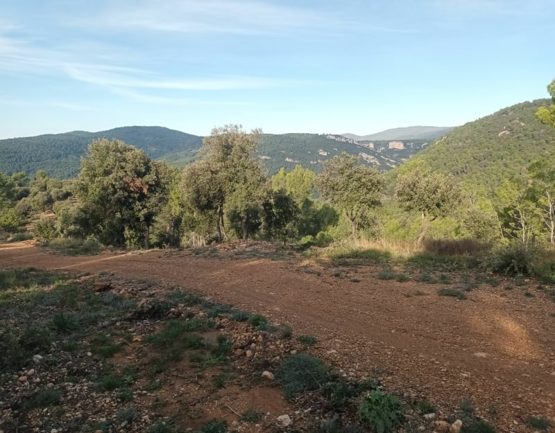 Bain de nature à VTT sur le massif au Nord de Draguignan - Draguignan