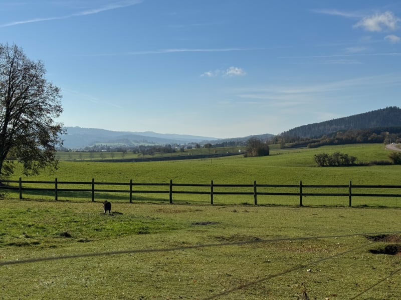Orchamps-Vennes et campagne - Orchamps-Vennes