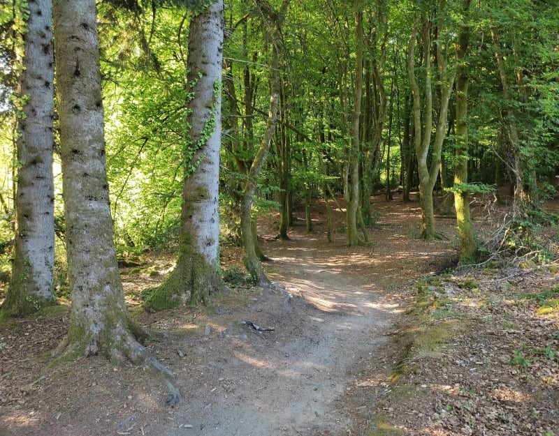 Tour de Saint-Pardoux à vélo - Saint-Pardoux-le-Lac