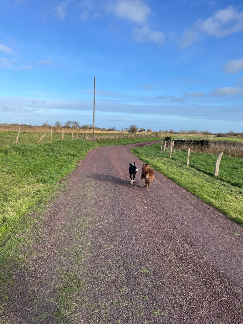 Promenade à Carentan - Carentan-les-Marais