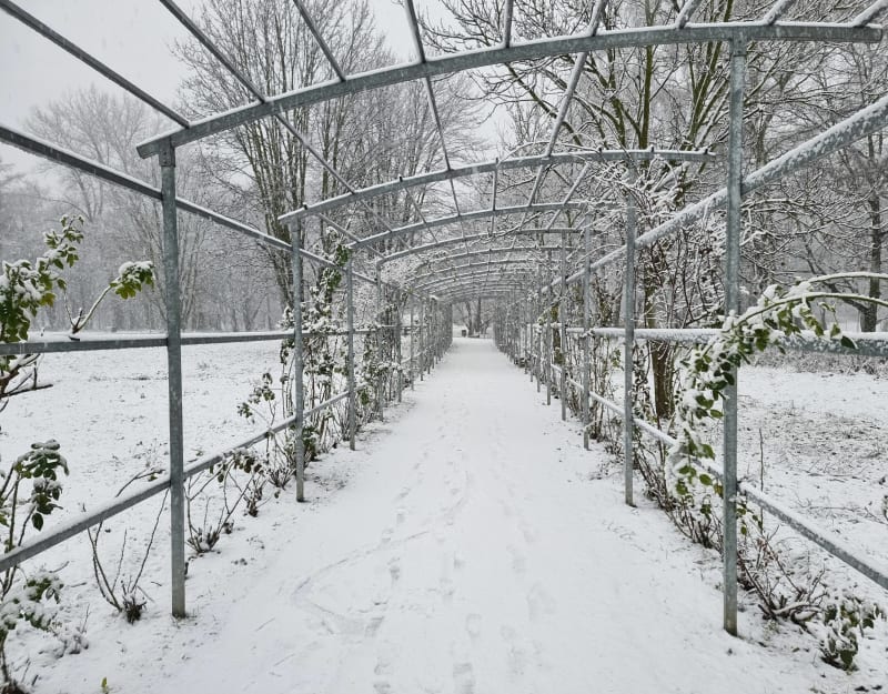 Park Grabek w Czeladzi - Czeladź