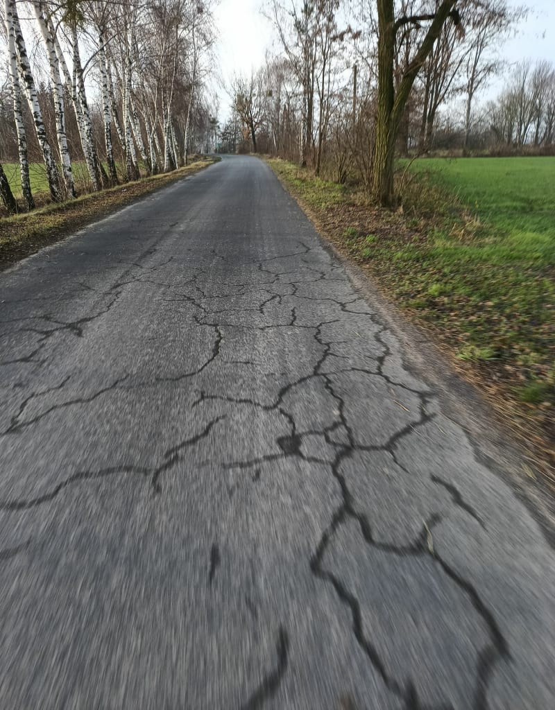 Trasa rowerowa - Kaszew