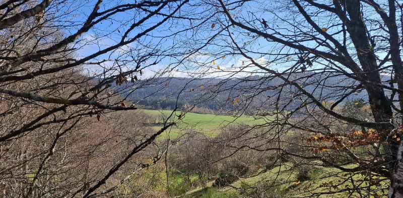 Balade à Colombèche - Le Born