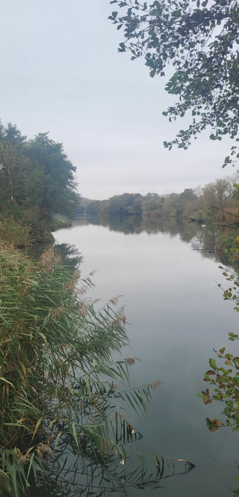 Petit tour des étang de pont à Mousson - Atton