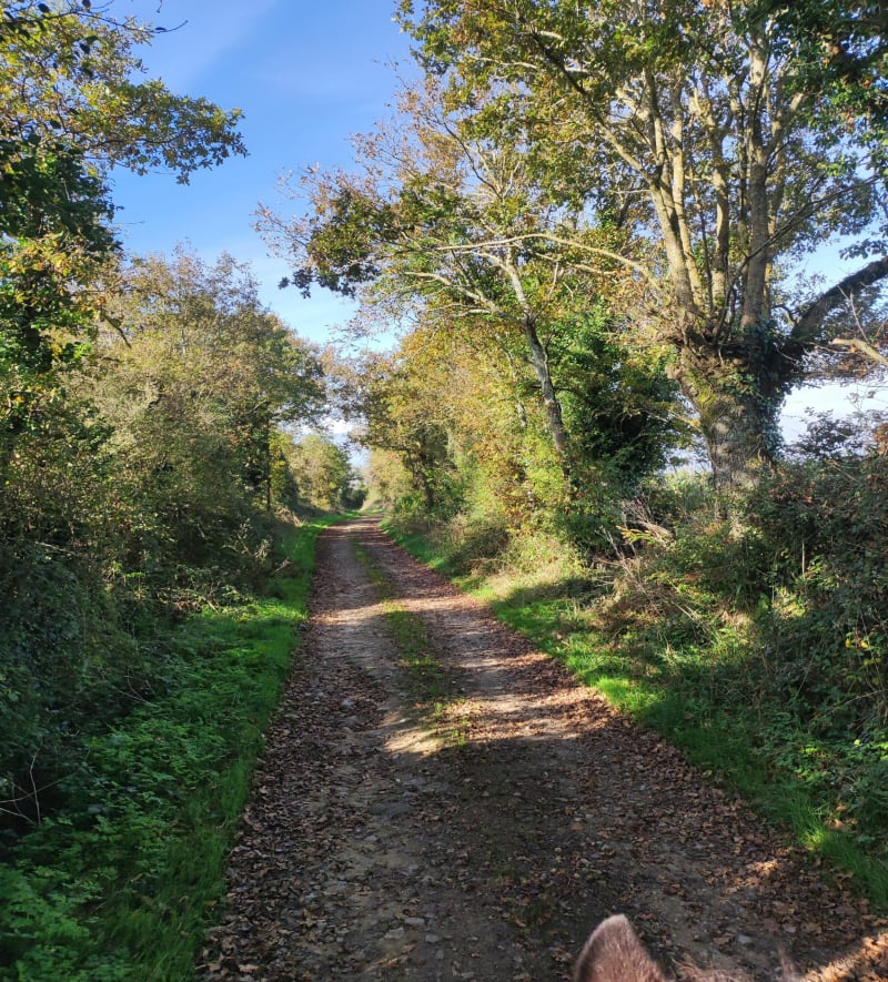 Moment tranquille à la campagne depuis les Raymondières - La Chapelle-Hermier