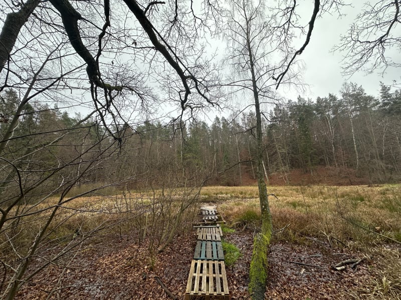 Spacer na chwarznie - Gdynia