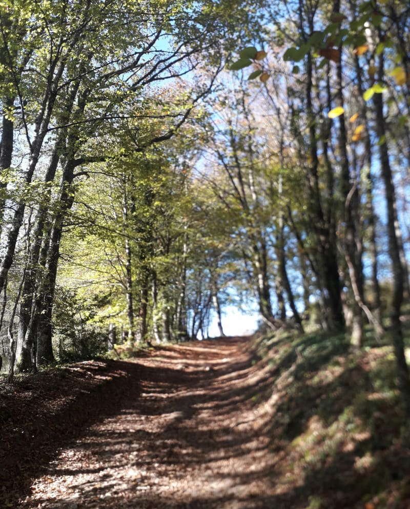 Autour de Rouffiac, par Puech du fau - Rouffiac