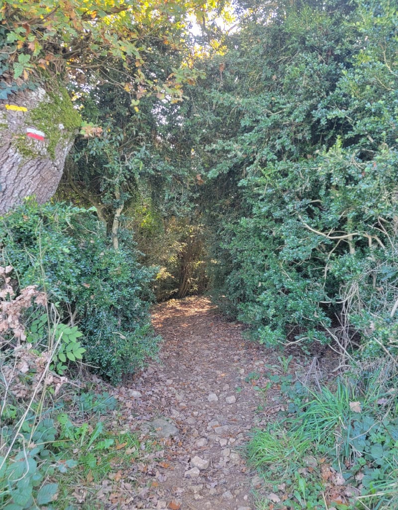 Rando Inières et Ségala - Sainte-Radegonde