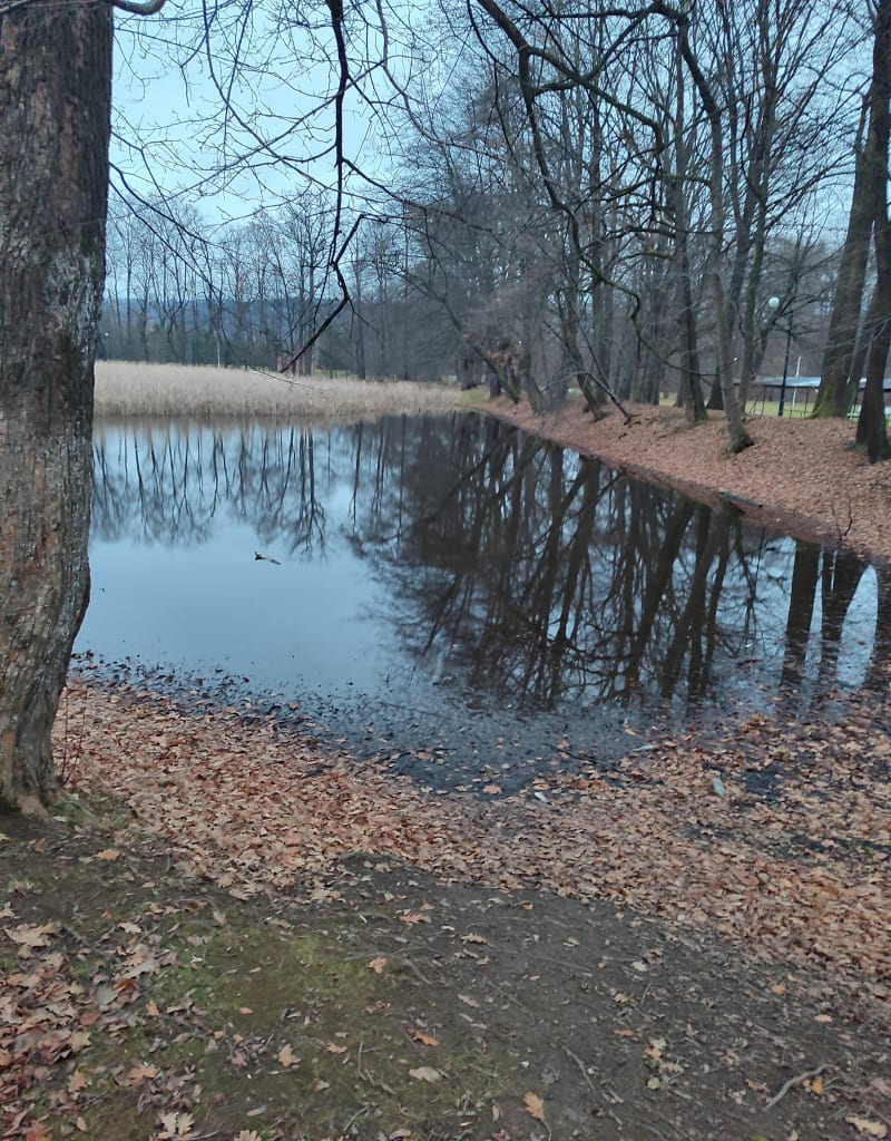 Park dworski Jasienica Rosielna - Jasienica Rosielna