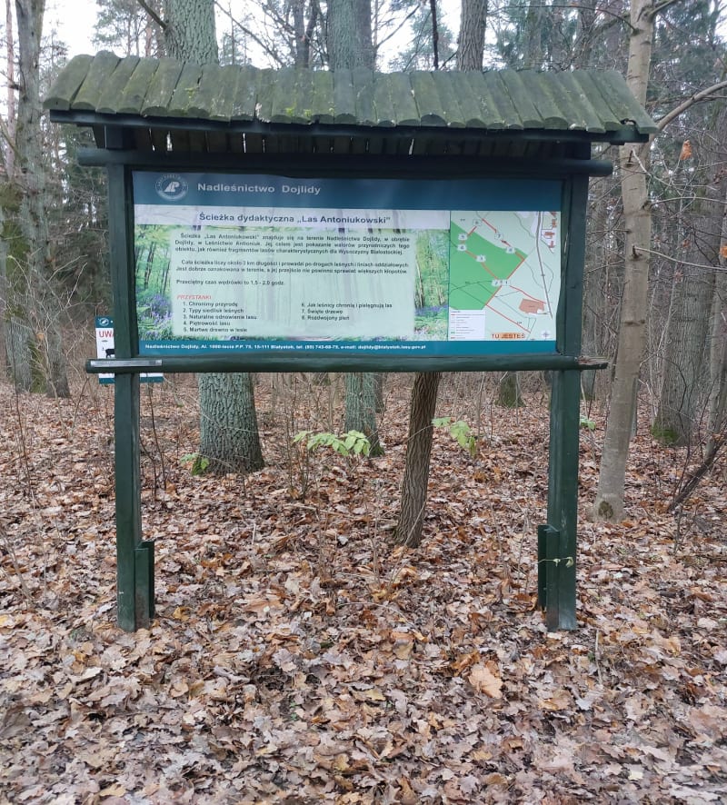 Trasa przyrodnicza, Las Antoniukowski - Białystok